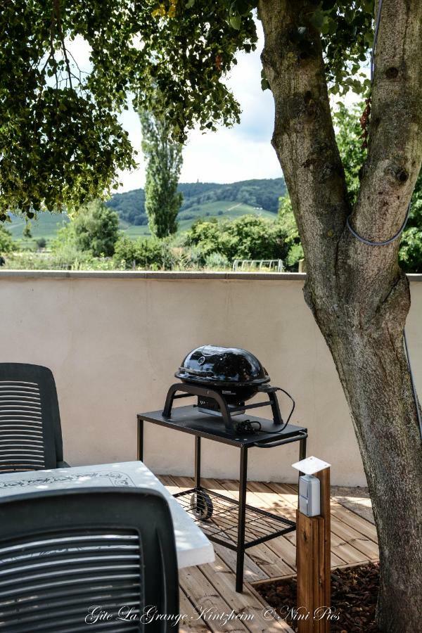 Gîte Spa La grange Kintzheim Exterior foto